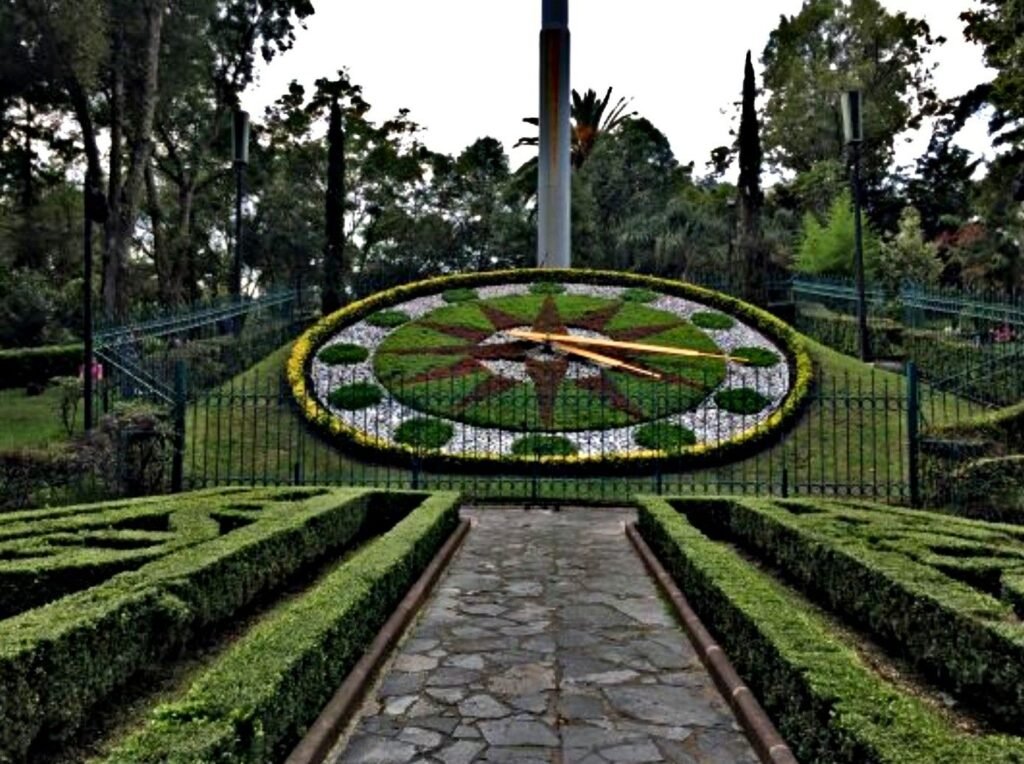 Pulido de Pisos en Benito Juárez
