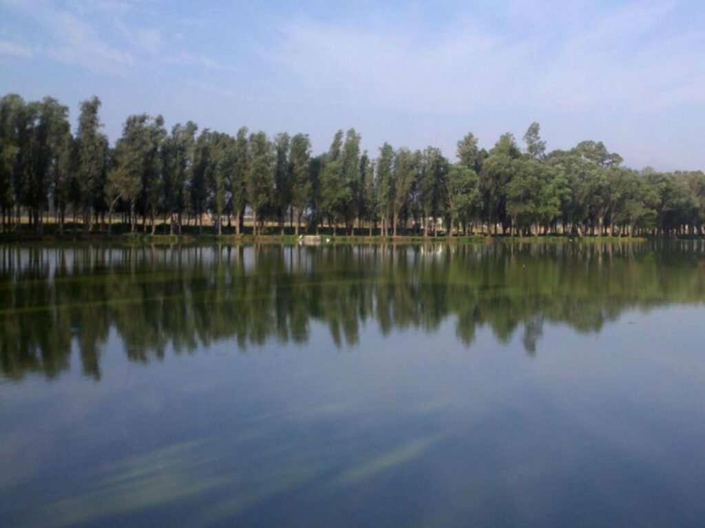 Pulido de Pisos en Tláhuac Pulido de Pisos en Tláhuac